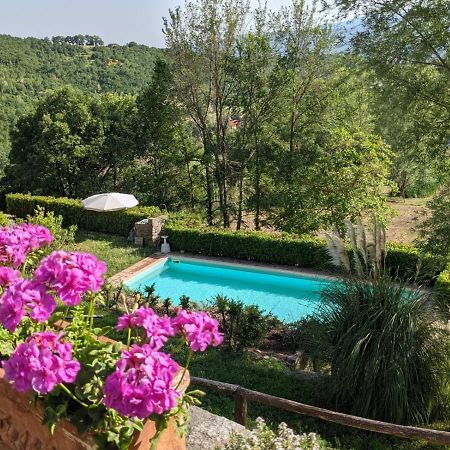 Agriturismo Casentino - Fattoria Ventrina Martina Ngoại thất bức ảnh
