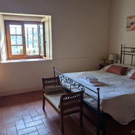 Agriturismo Casentino - Fattoria Ventrina Martina Ngoại thất bức ảnh