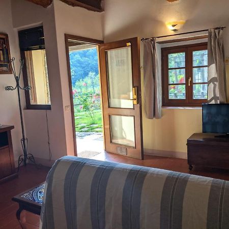 Agriturismo Casentino - Fattoria Ventrina Martina Ngoại thất bức ảnh