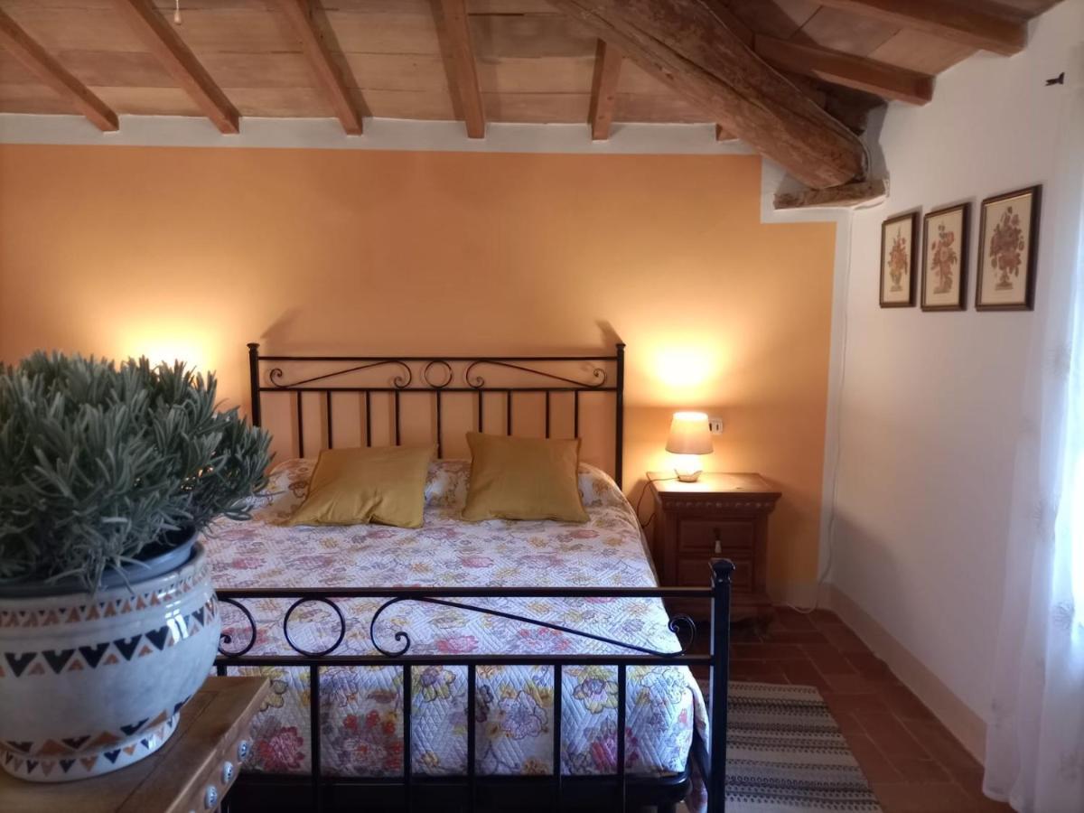 Agriturismo Casentino - Fattoria Ventrina Martina Ngoại thất bức ảnh