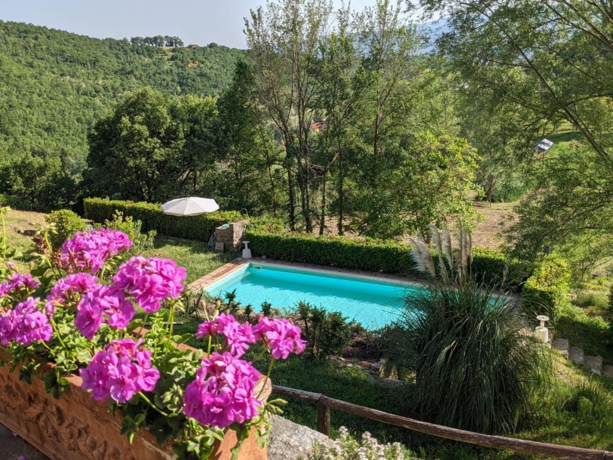 Agriturismo Casentino - Fattoria Ventrina Martina Ngoại thất bức ảnh