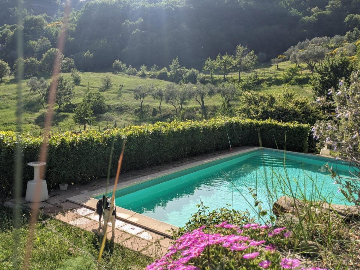 Agriturismo Casentino - Fattoria Ventrina Martina Ngoại thất bức ảnh