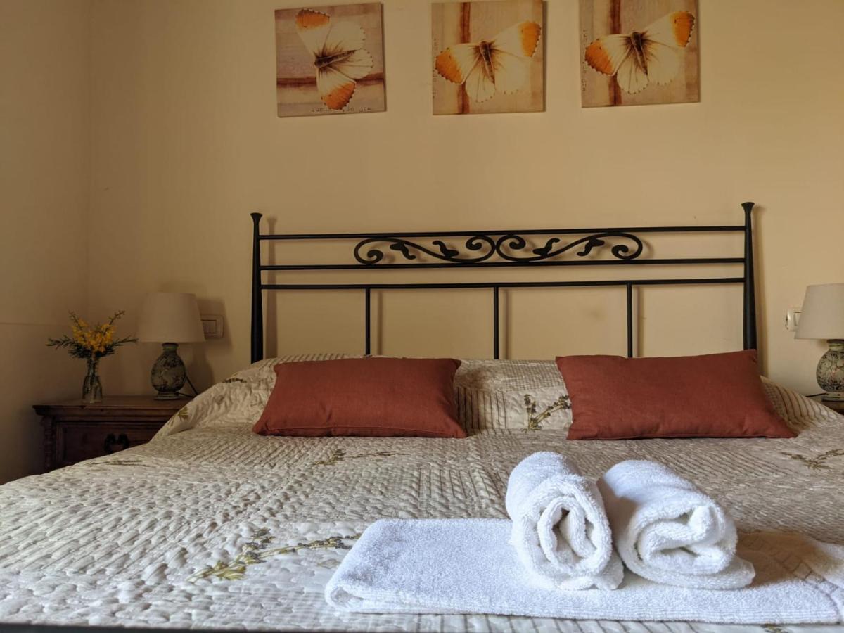 Agriturismo Casentino - Fattoria Ventrina Martina Ngoại thất bức ảnh