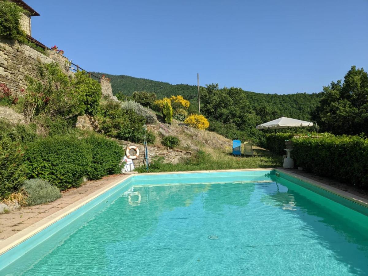Agriturismo Casentino - Fattoria Ventrina Martina Ngoại thất bức ảnh