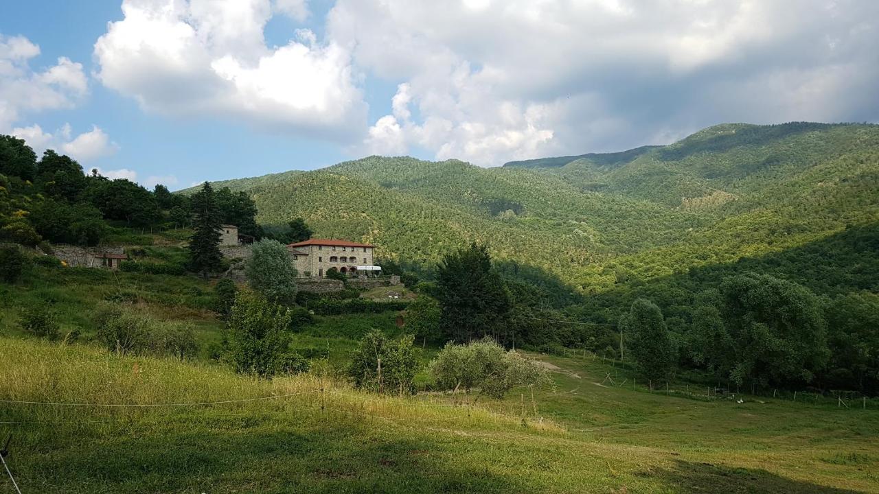 Agriturismo Casentino - Fattoria Ventrina Martina Ngoại thất bức ảnh